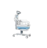 Neonatalogie